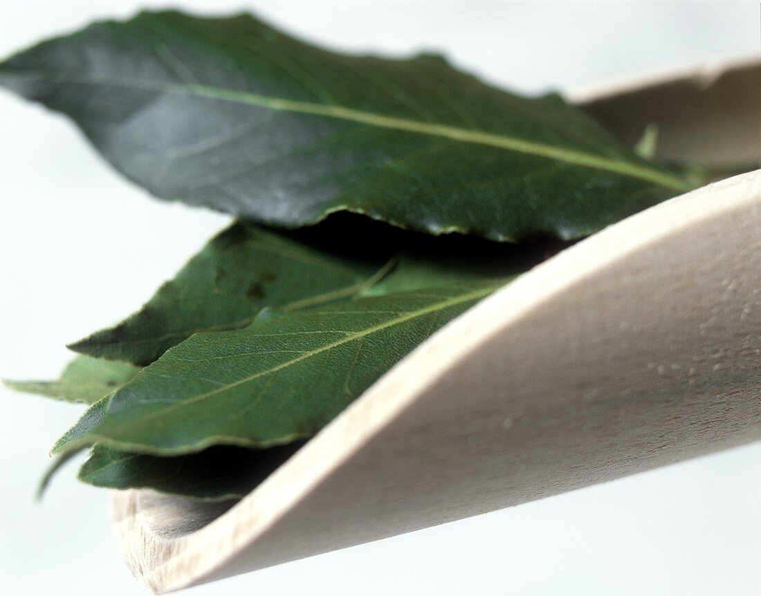 Bay leaves on wooden scoop