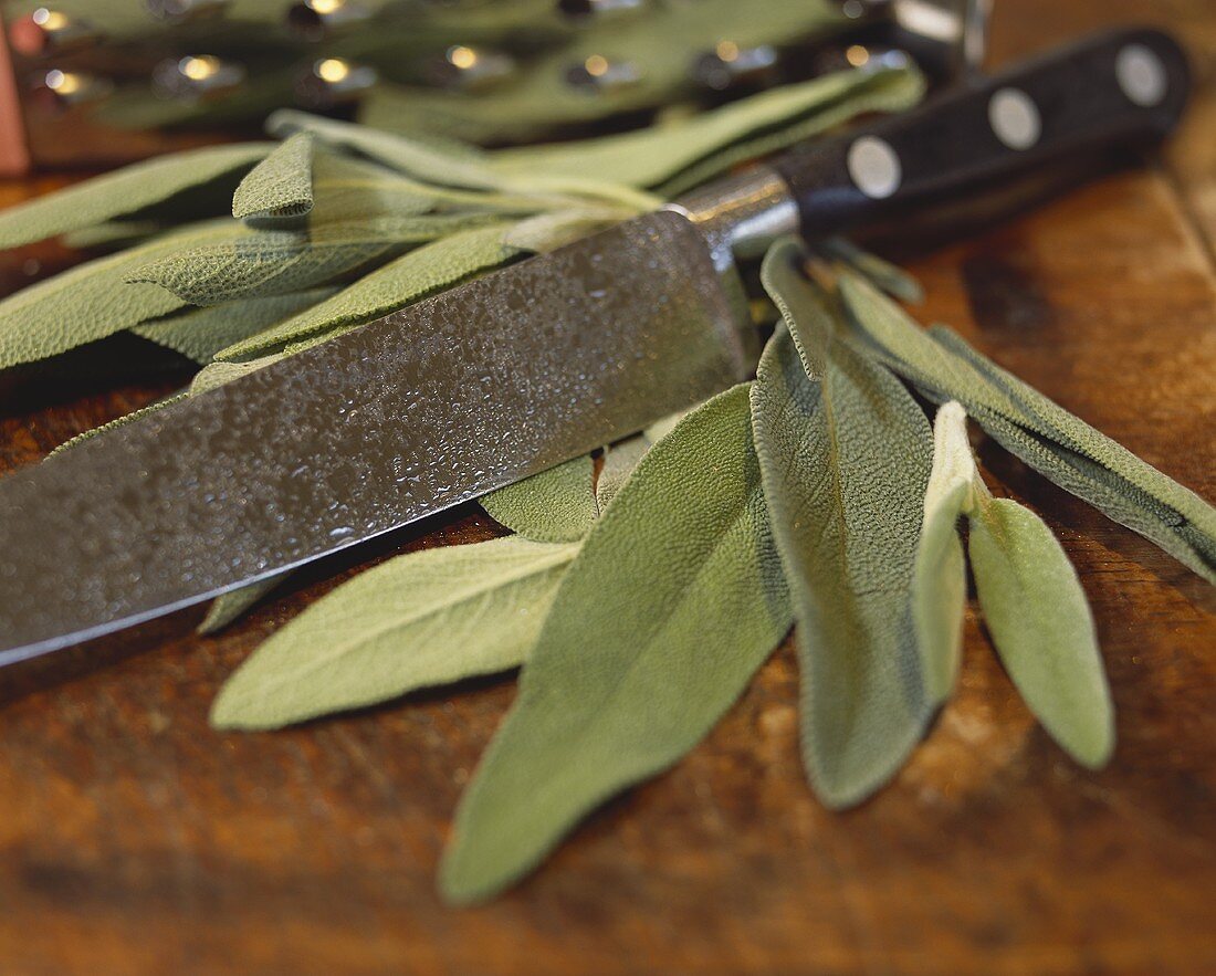 Fresh sage with knife