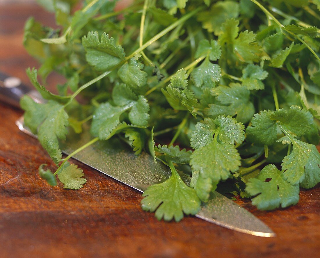Fresh coriander leaves with knife