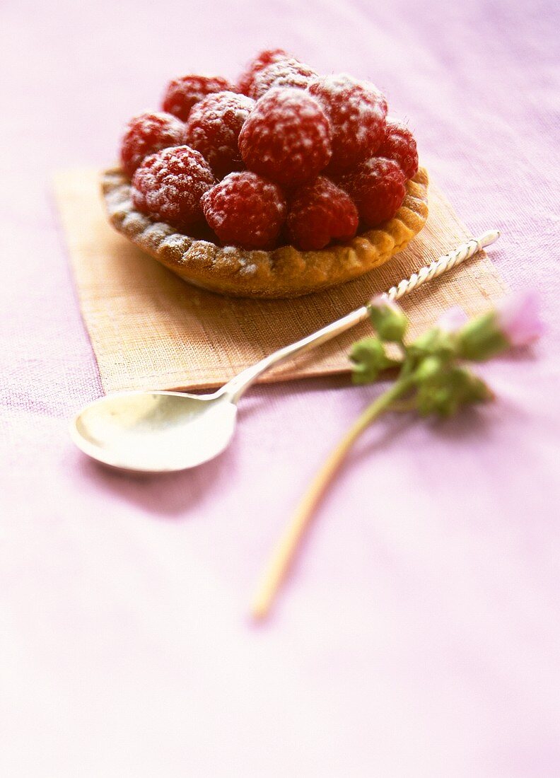 Raspberry tartlet with icing sugar