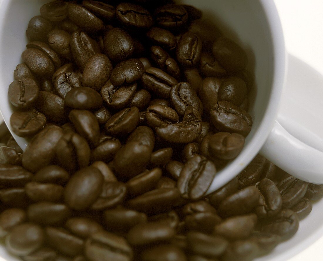 Kaffeebohnen in weisser Tasse