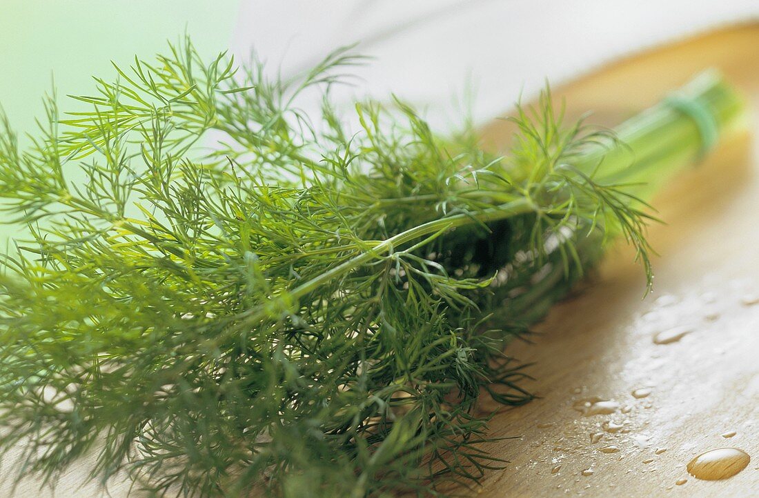 Fresh dill on wooden background