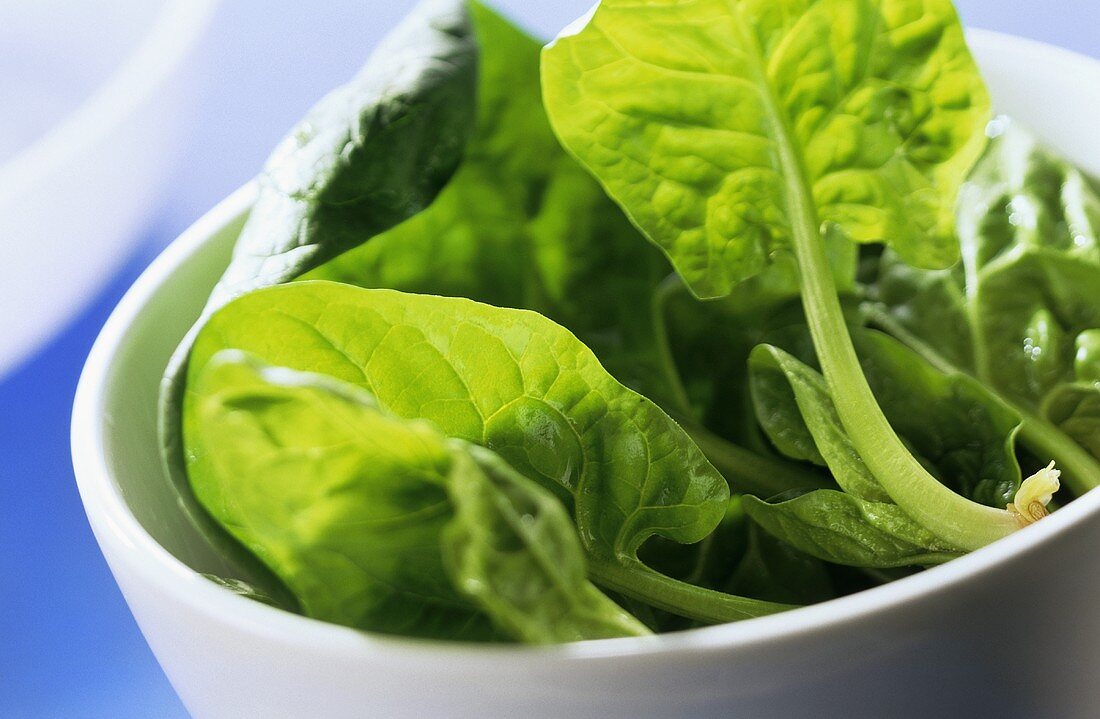 Fresh spinach in white bowl