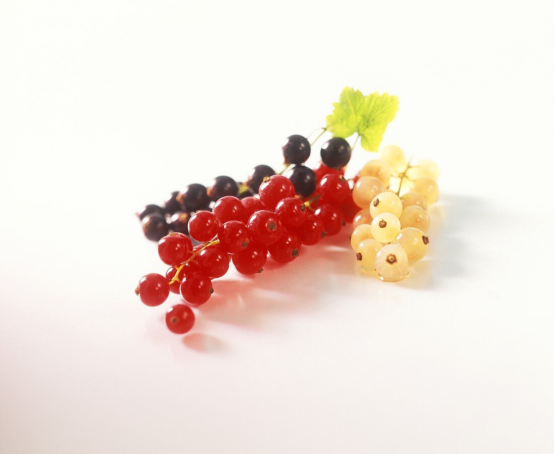 White-, red- and blackcurrants