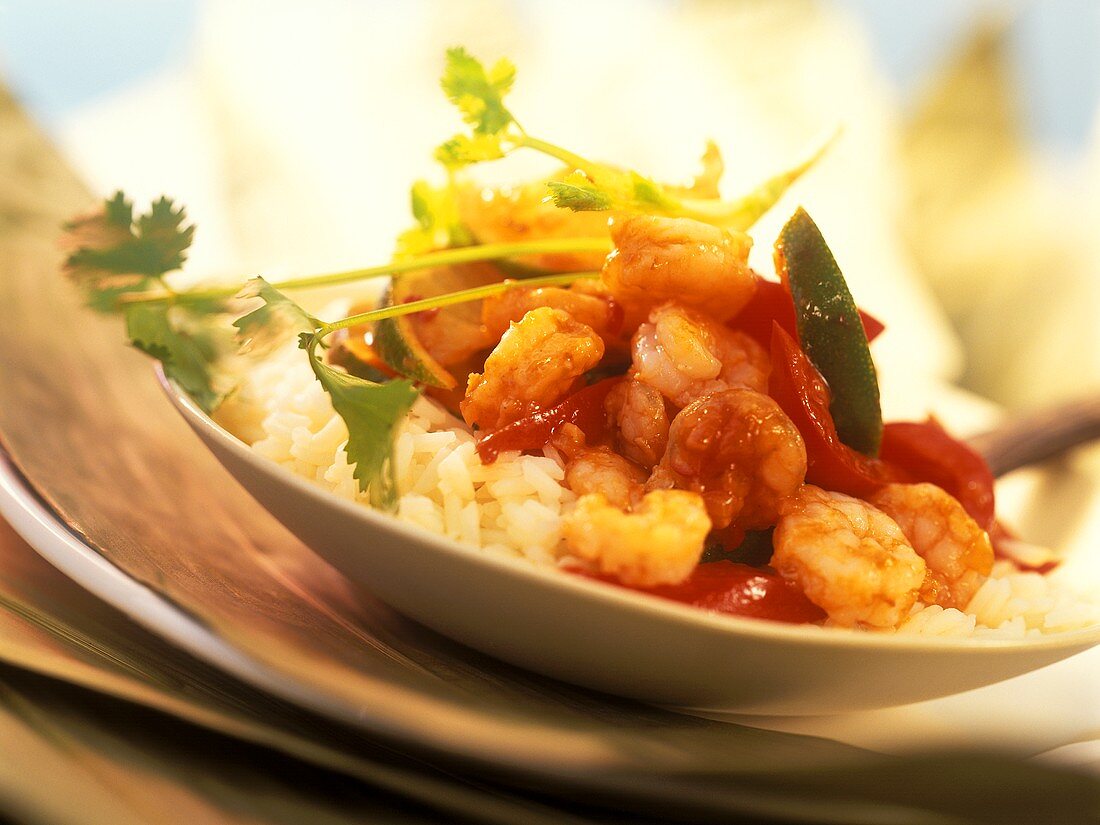 Shrimps in spicy tomato sauce on rice