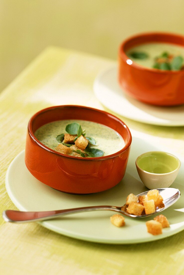 Creamed herb soup with watercress and croutons