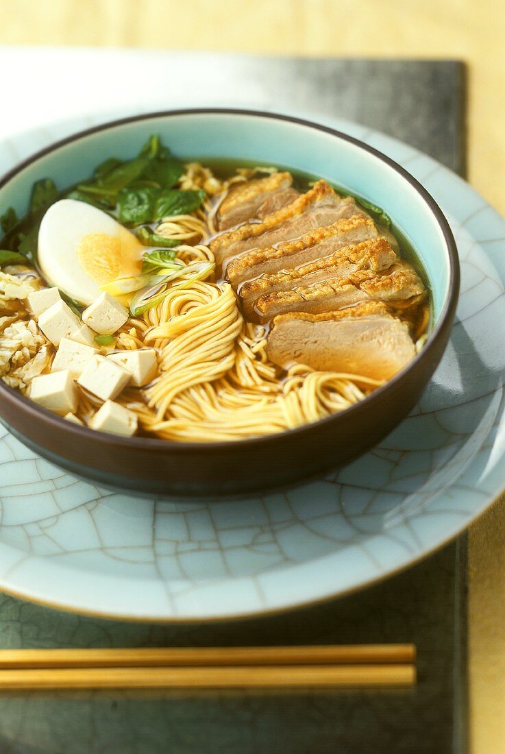 Japanese duck soup with noodles and tofu