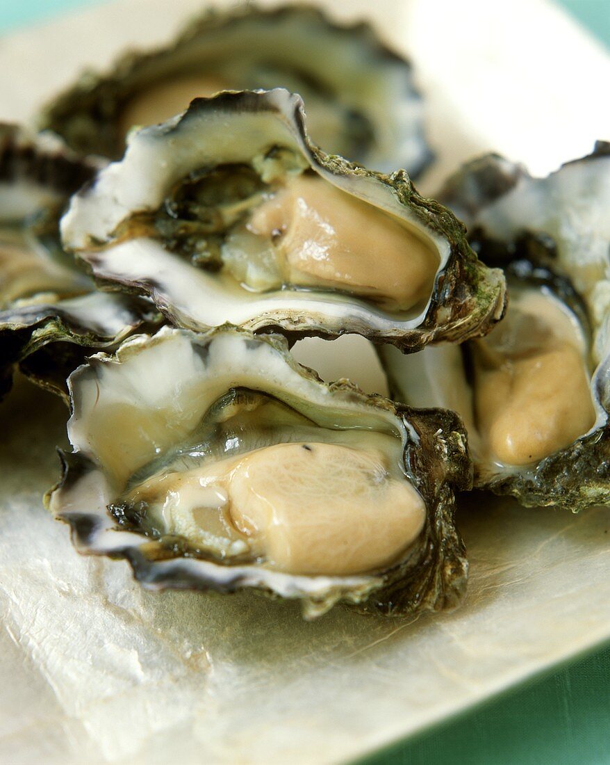 Fresh oysters in half shells