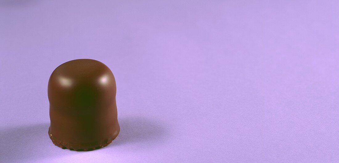 Chocolate marshmallow on mauve background