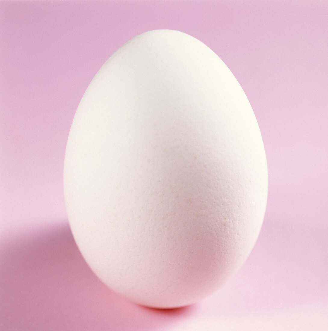 Weisses Ei auf rosa Untergrund