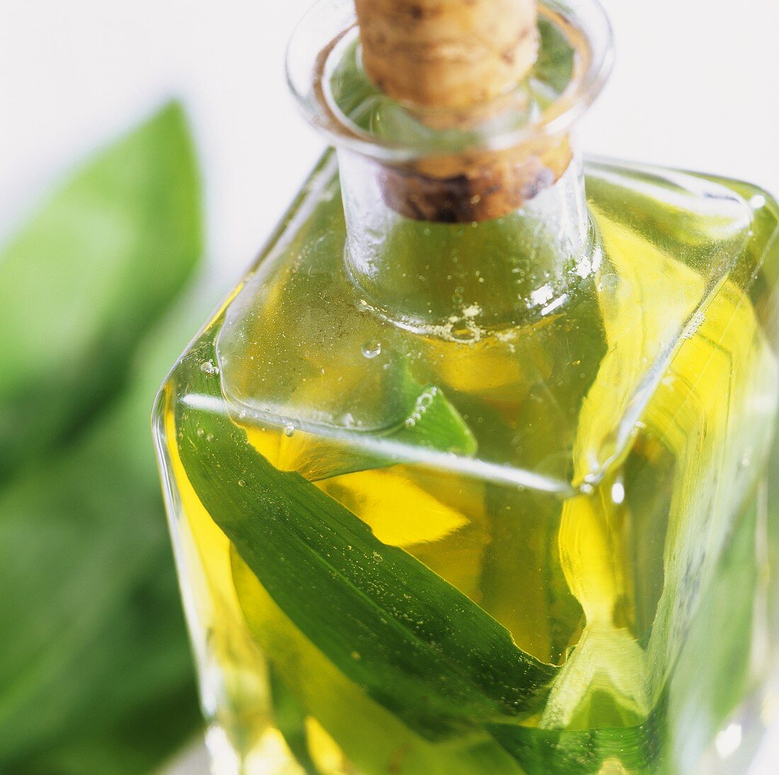 Home-made ramsons (wild garlic) oil in bottle