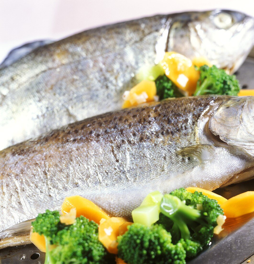 Steamed whitefish with broccoli and carrots