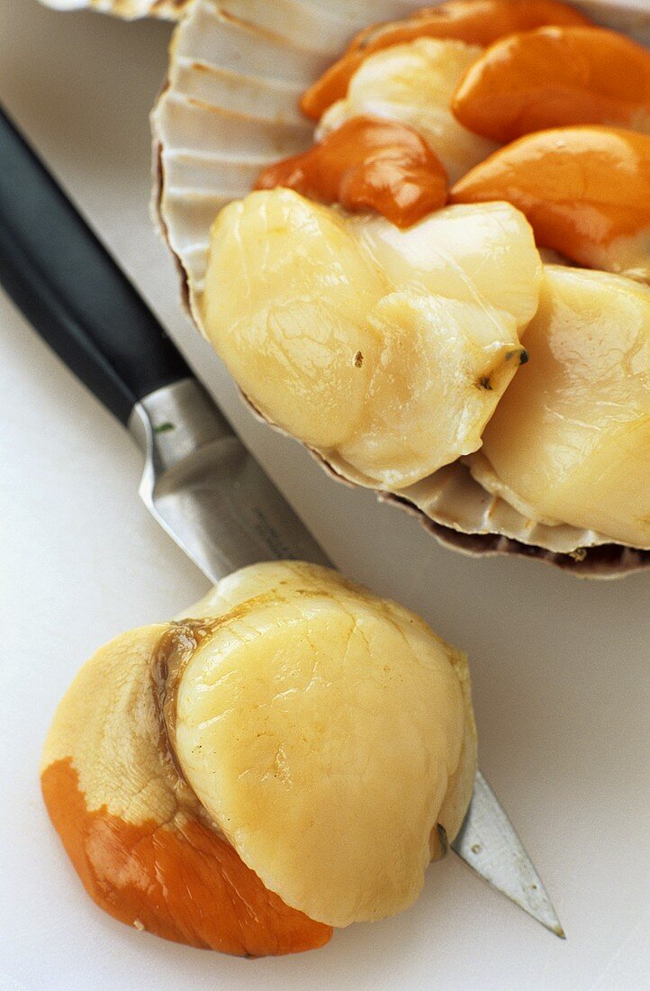 Scallops loosened from their shells with knife