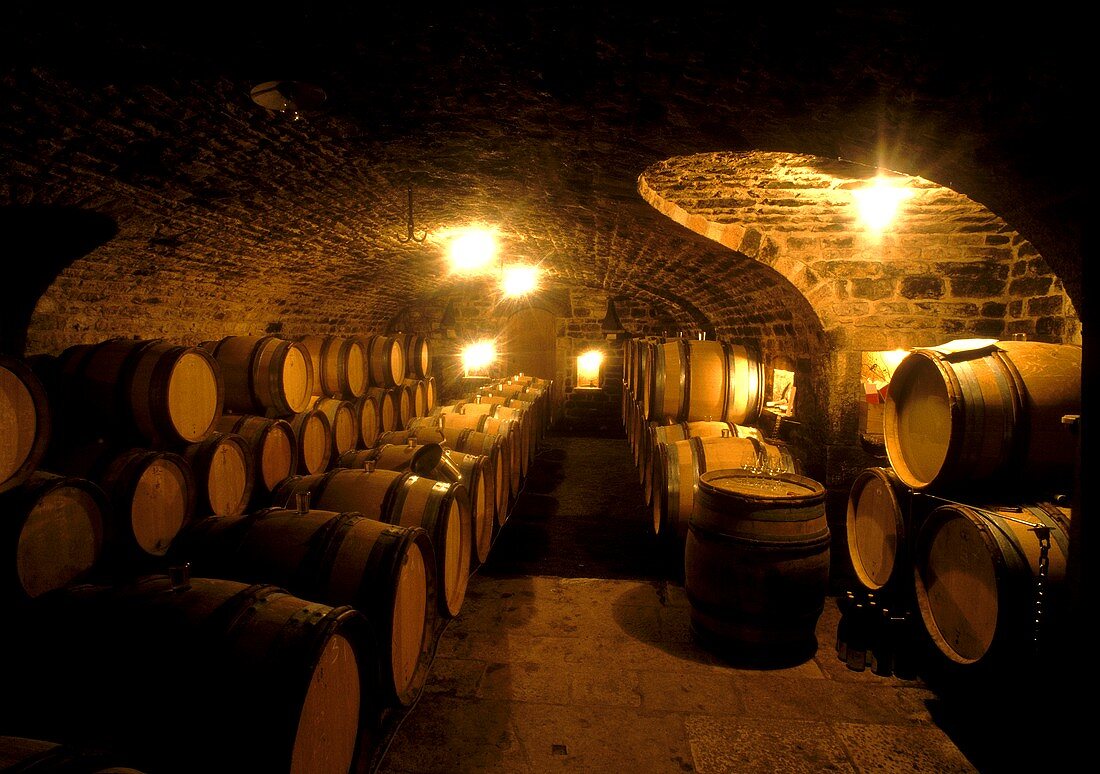 Wine cellar in France (Vergisson, Maconnais)