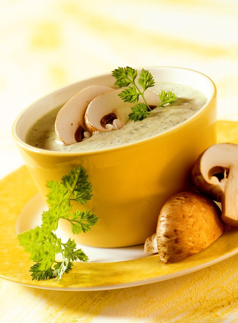 Mushroom and leek soup with chervil