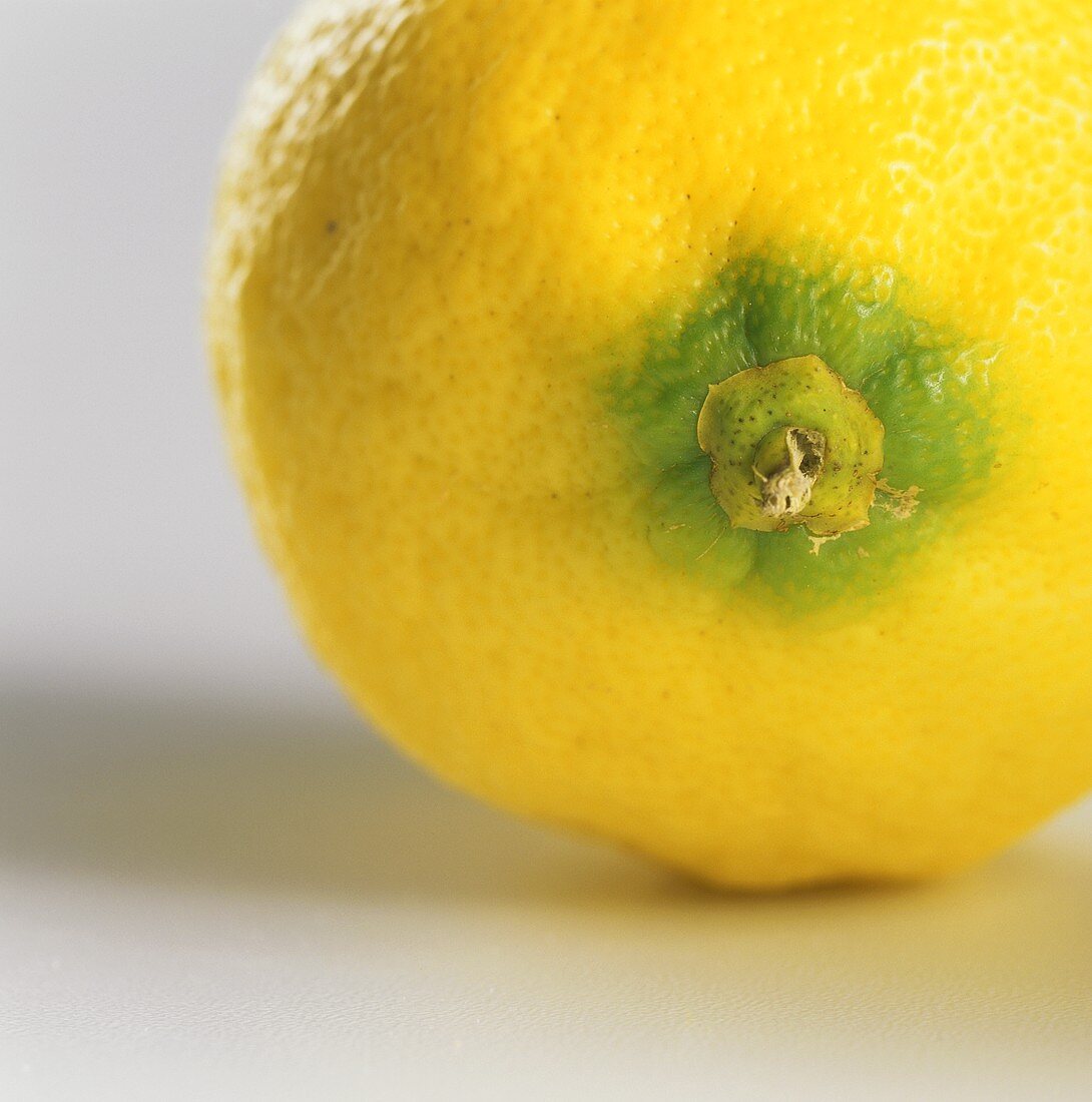 Lemon (detail of stalk end)