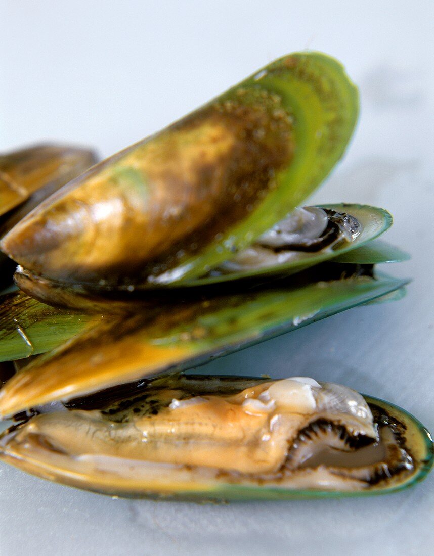 Green mussels (from New Zealand)