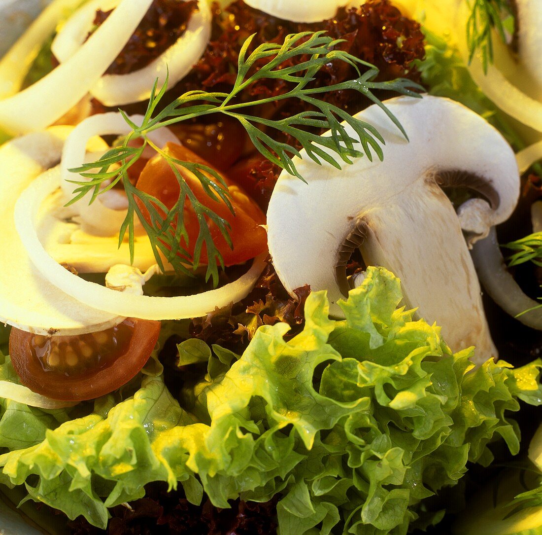 Salad ingredients: salad leaves, mushrooms, onions, tomatoes