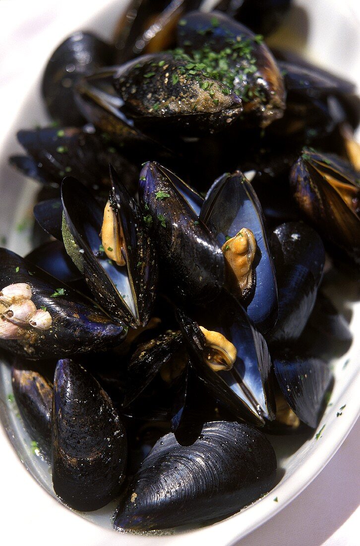 Mussels in herb sauce