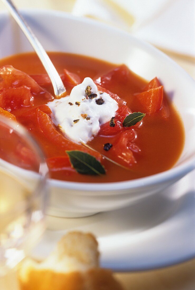 Tomaten-Paprika-Suppe mit Wacholdersahne