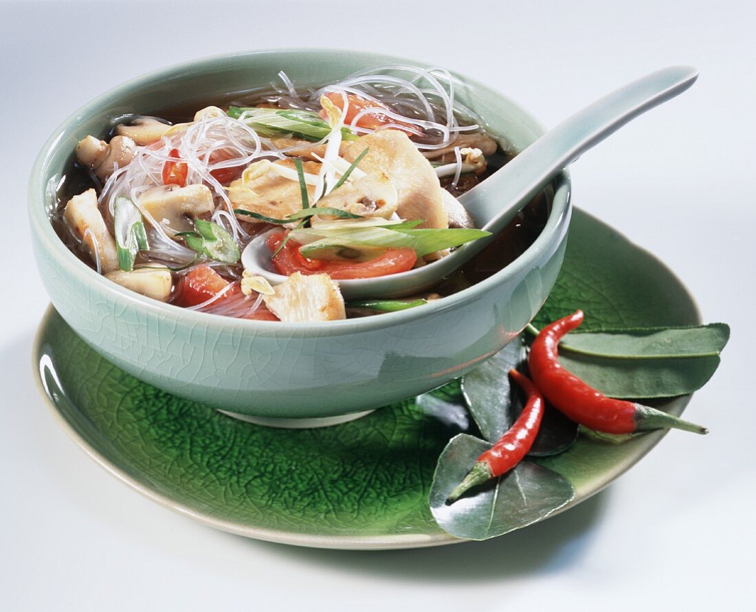 Scharfe asiatische Gemüsesuppe mit Hähnchen und Glasnudeln