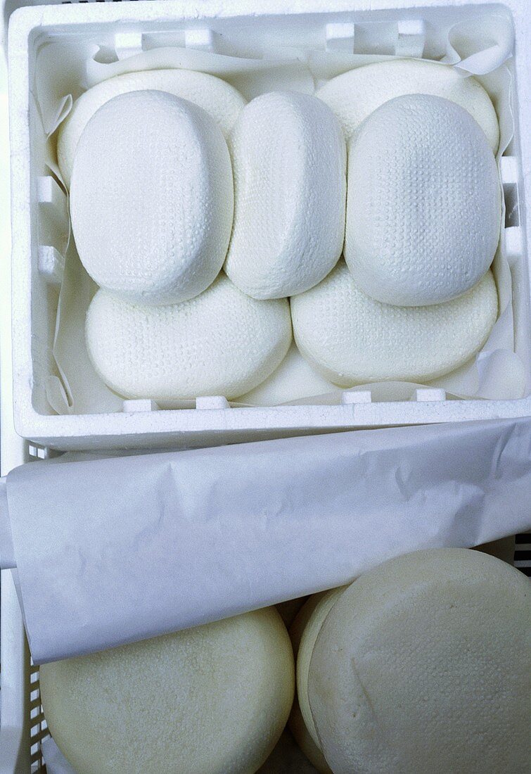 Fresh pecorino in polystyrene container