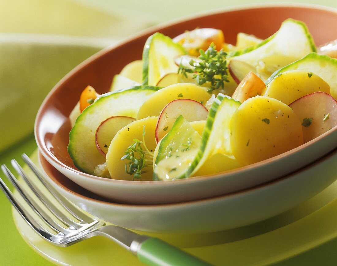 Kartoffelsalat mit Gurke, Radieschen und Kresse