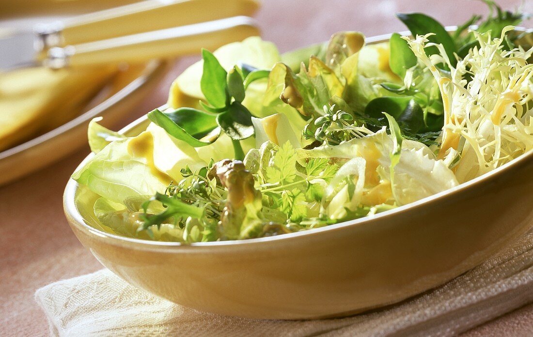 Gemischter Blattsalat mit Kresse und Vinaigrette