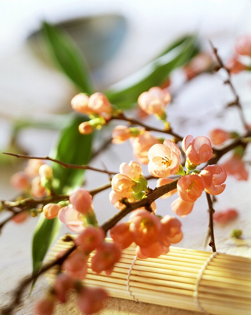 Asian table decoration: sprigs of cherry blossom & bamboo mat