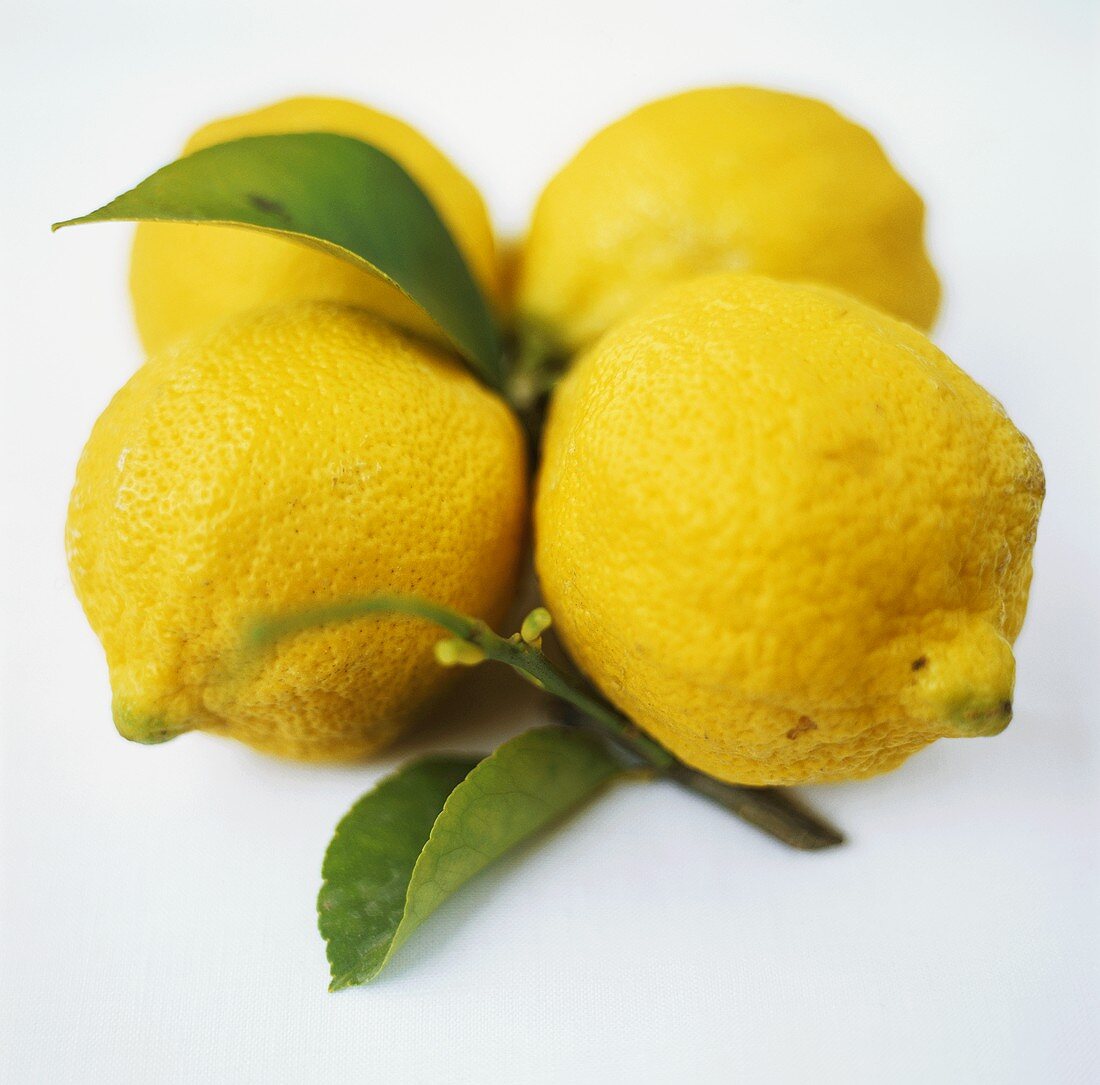 Lemons with leaves