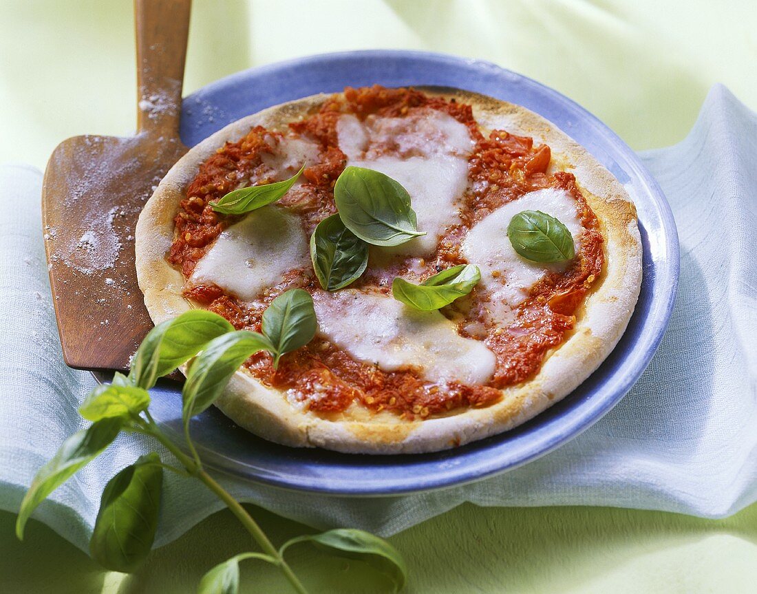 Pizza Margherita (Pizza Tomaten, Mozzarella, Basilikum)