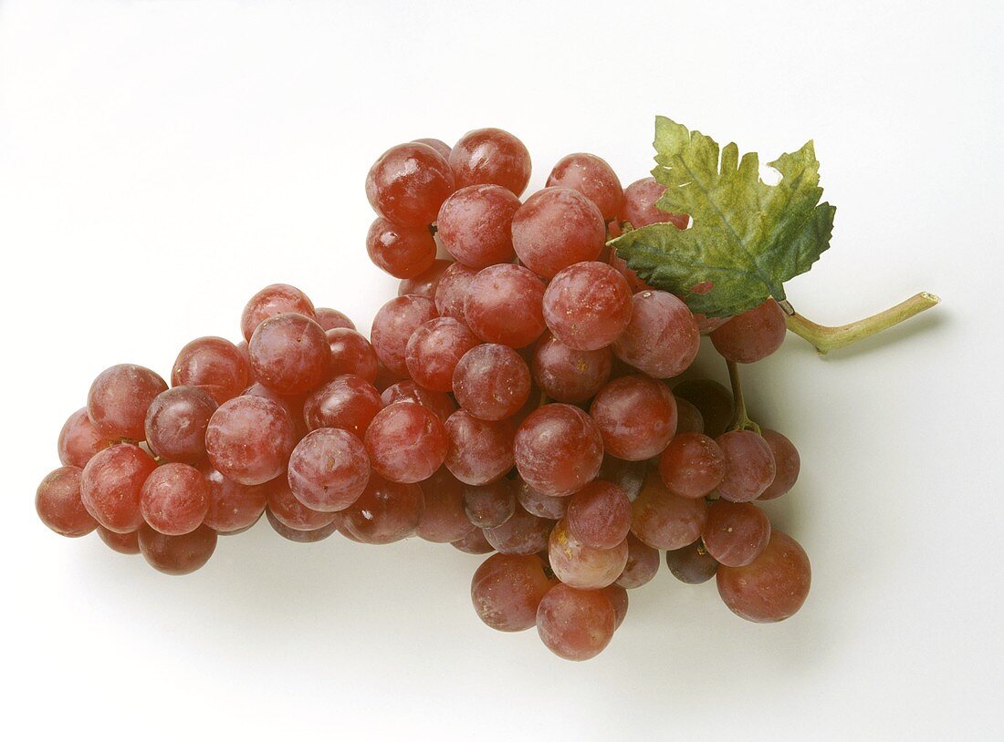 Red grapes with leaf