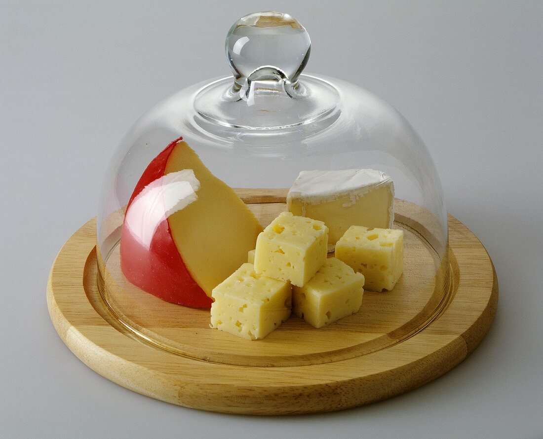 Various Types of Cheese Under Glass Dome