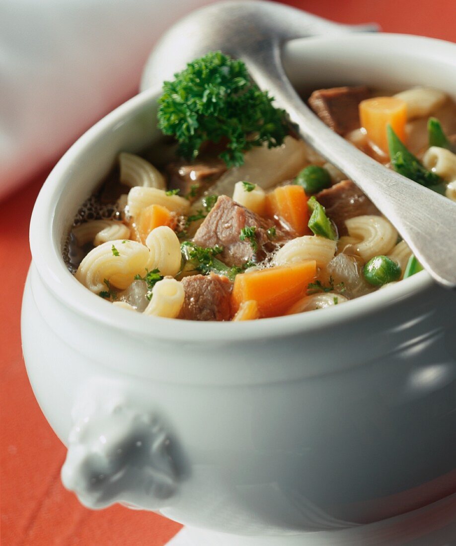 Zuppa di manzo e verdure (Beef soup with summer vegetables)