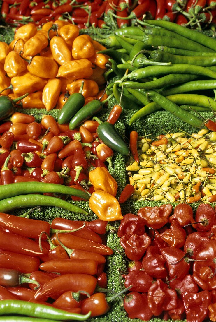 Various types of chili peppers at the market