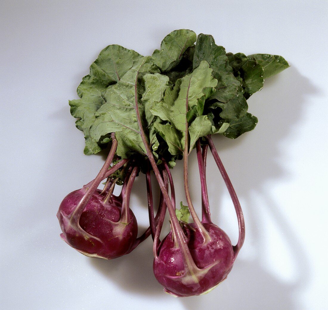 Red kohlrabi with leaves