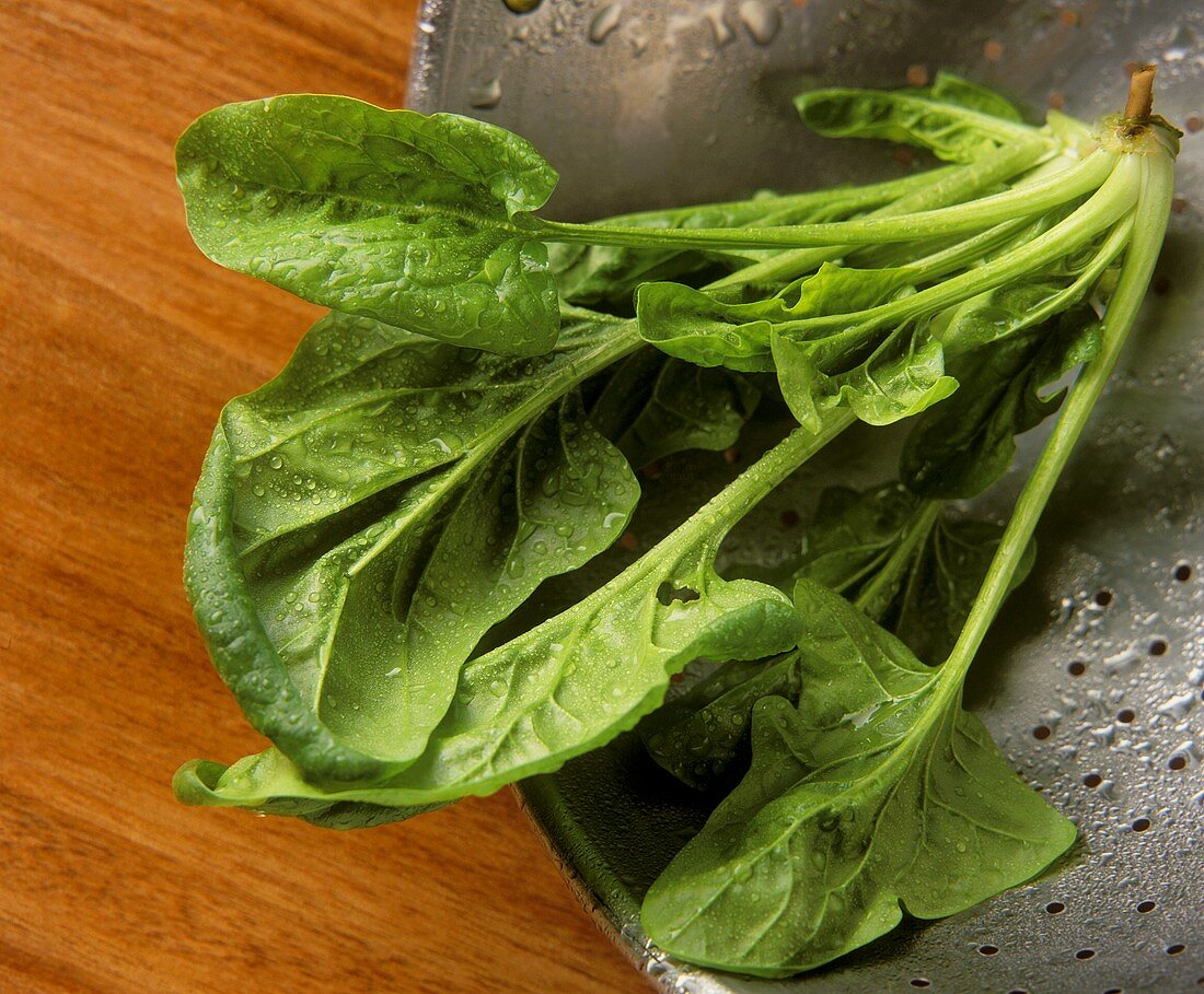 Fresh spinach with drops of water