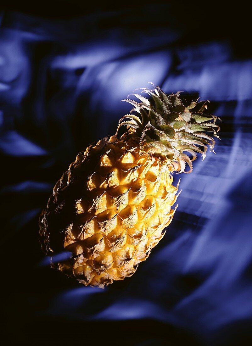 Ananas vor blauem Hintergrund