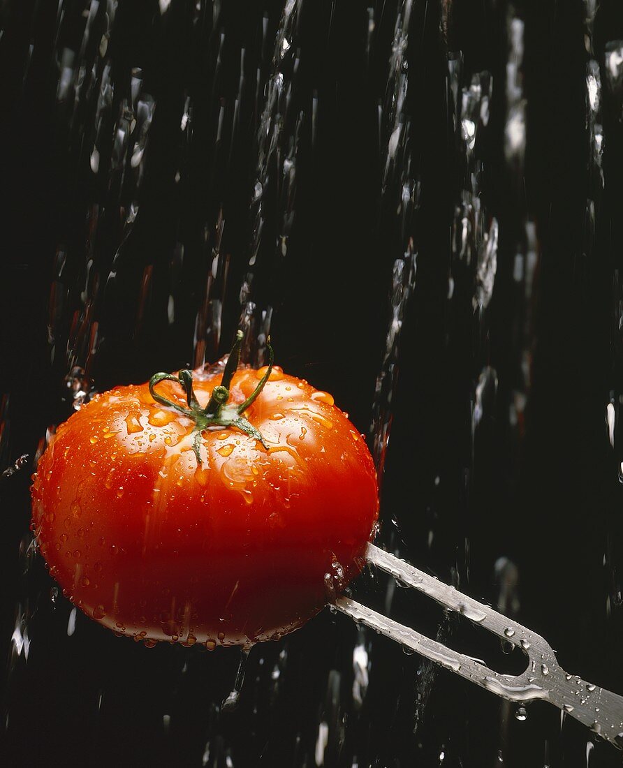 Tomate auf Fleischgabel im Wasserstrahl