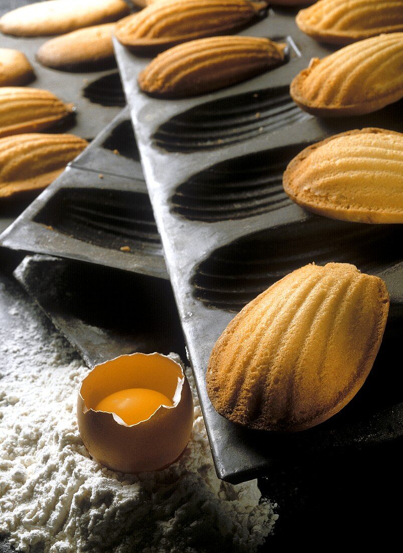 Madeleines in the baking tin