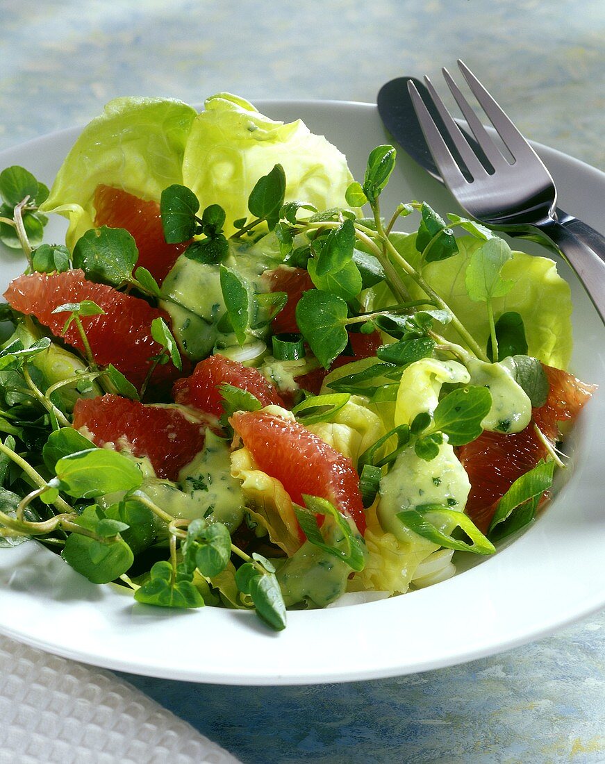 Kalifornischer Salat mit Frühlingszwiebeln und Grapefruit