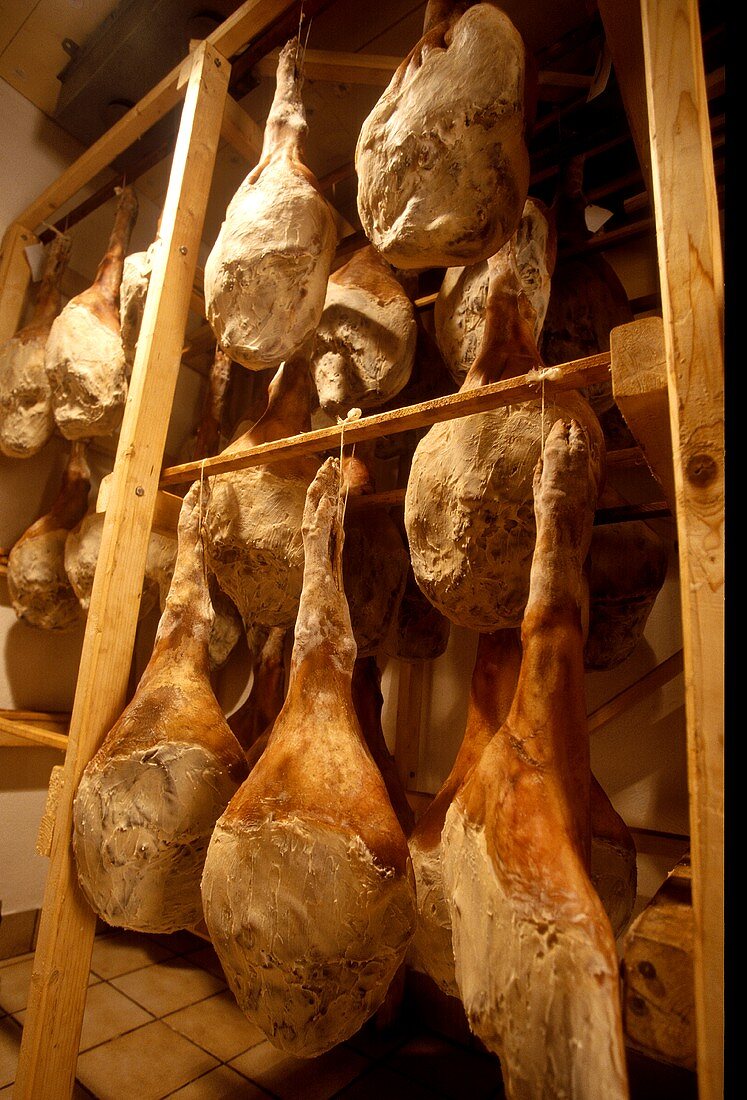 Air-dried ham on wooden stand