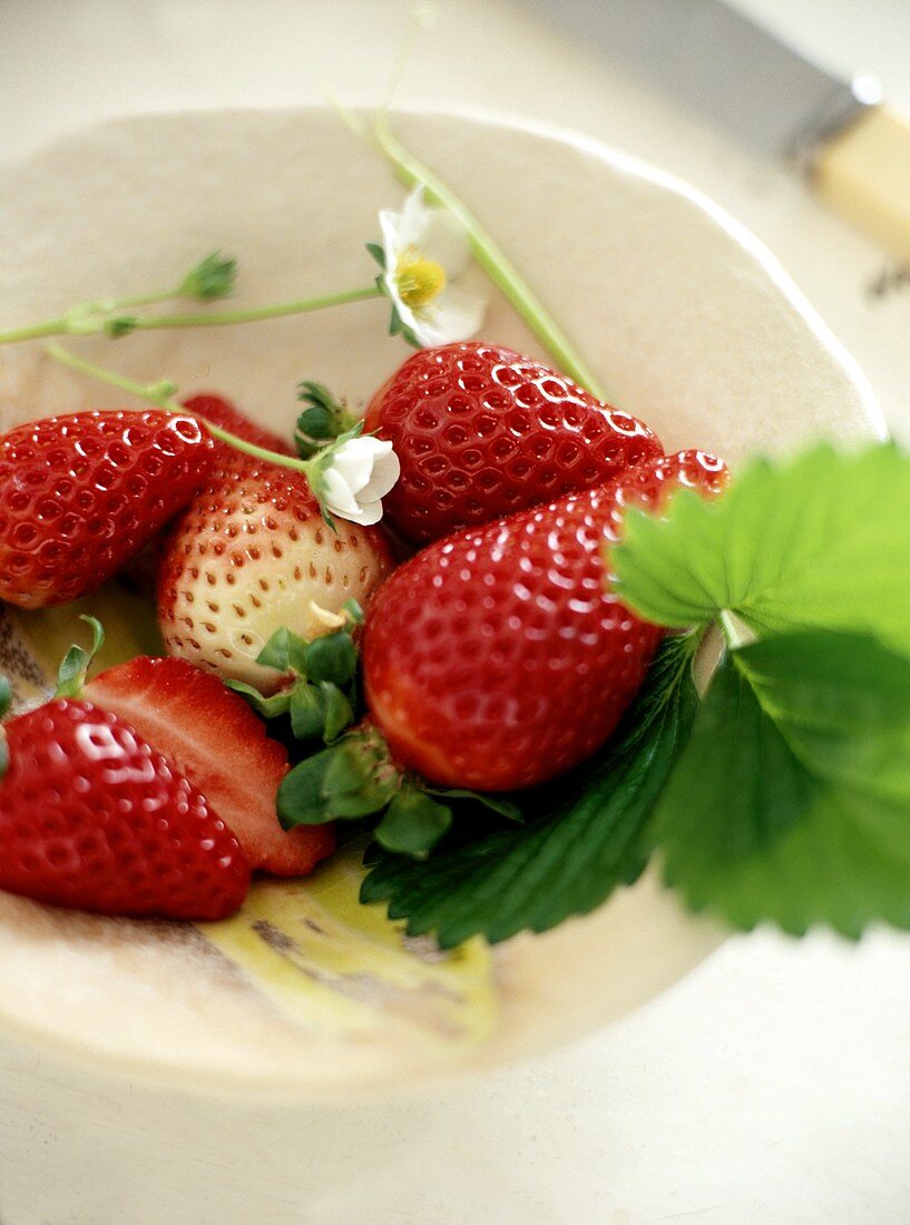 Frische Erdbeeren mit Blüten und Blättern