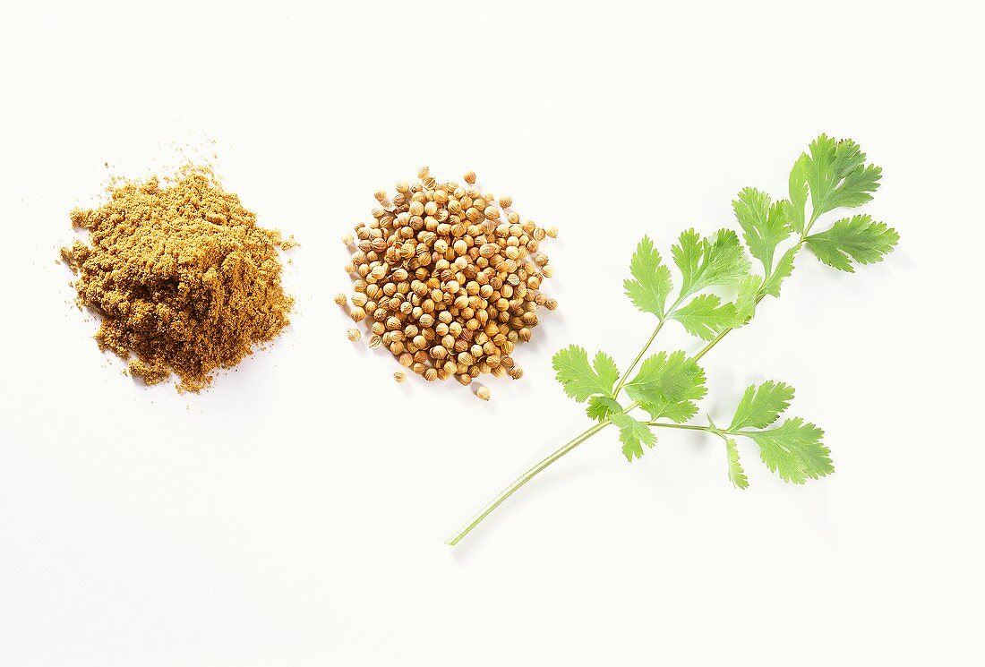 Coriander (whole, ground and coriander leaves)