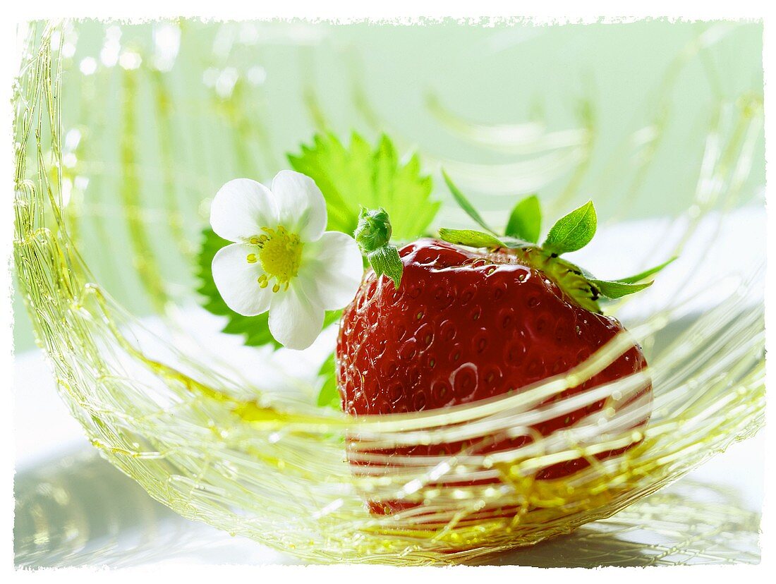 Strawberry with flower in a caramel nest