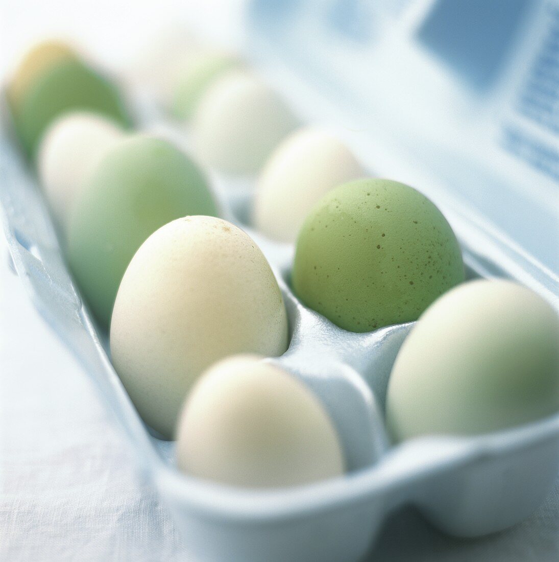 Verschiedene Eier im Eierkarton
