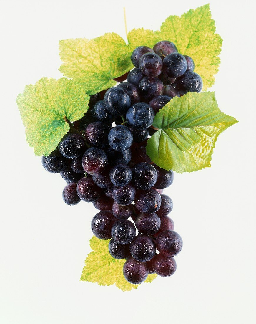 Red grapes with drops of water and leaves