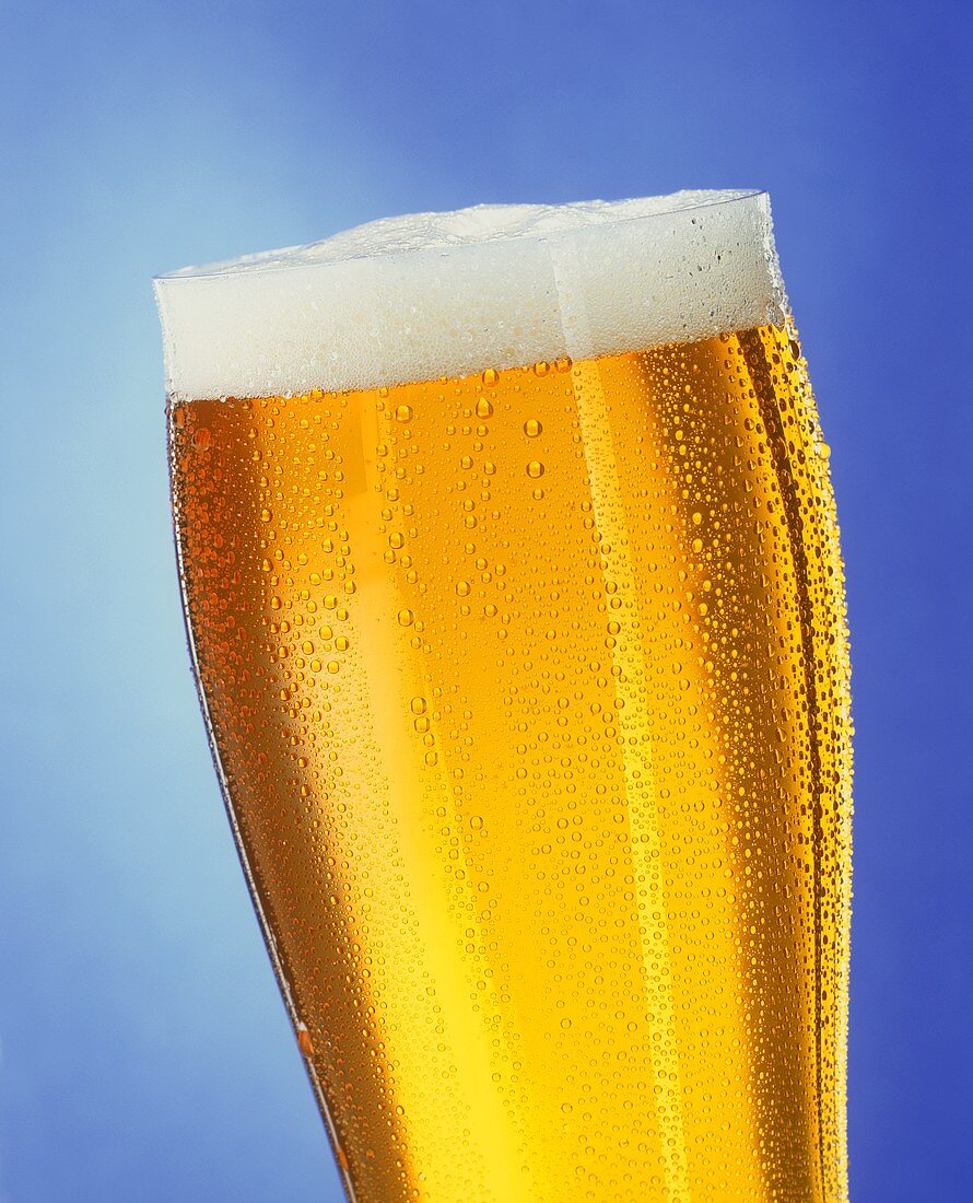 Kühles helles Bier im Glas