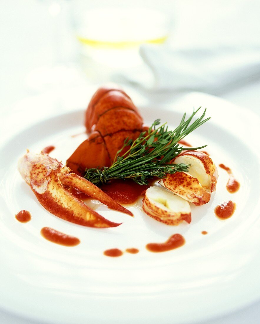 Provencal style lobster with tomato sauce and herbs
