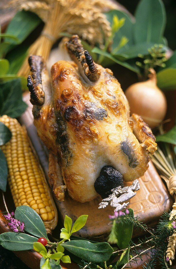 Guinea-fowl with black truffles